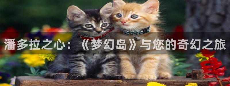 韩国羞羞漫画成人